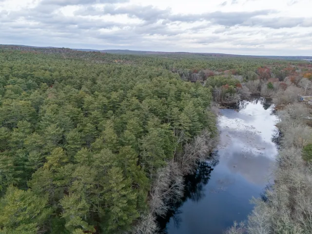 a view of a lake with lots of trees