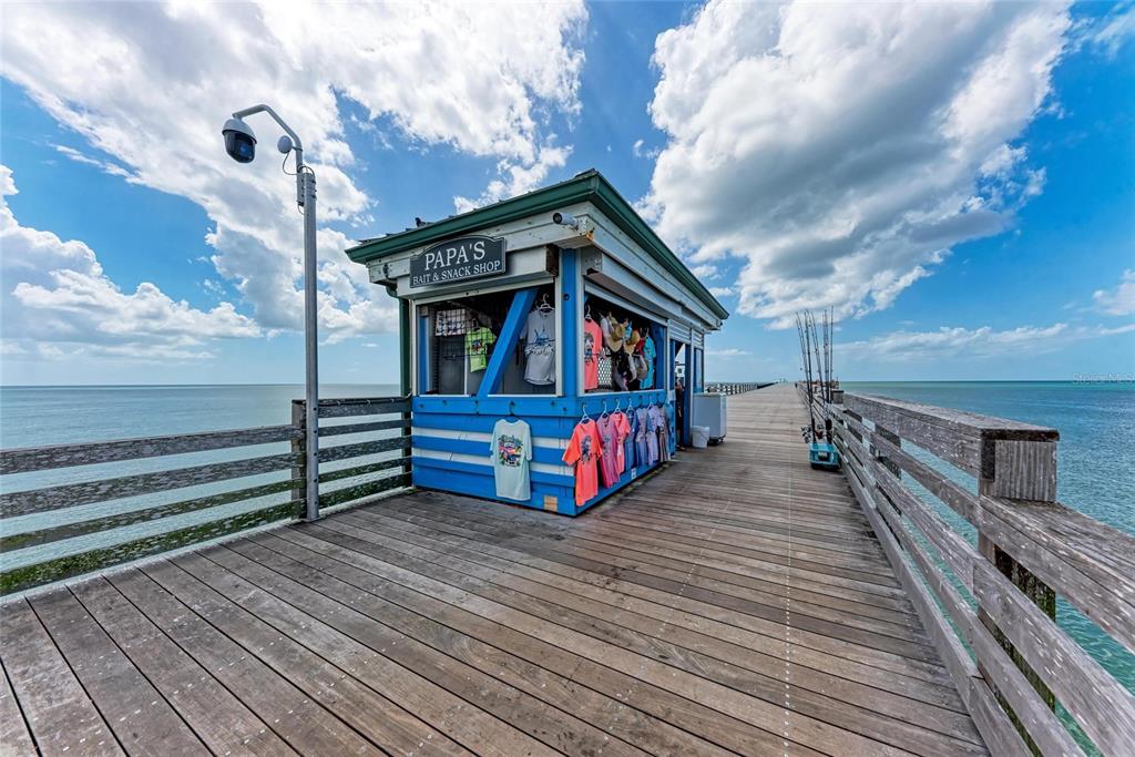 1307 Primrose Road Venice, FL 34293 - Photo 74 of 87