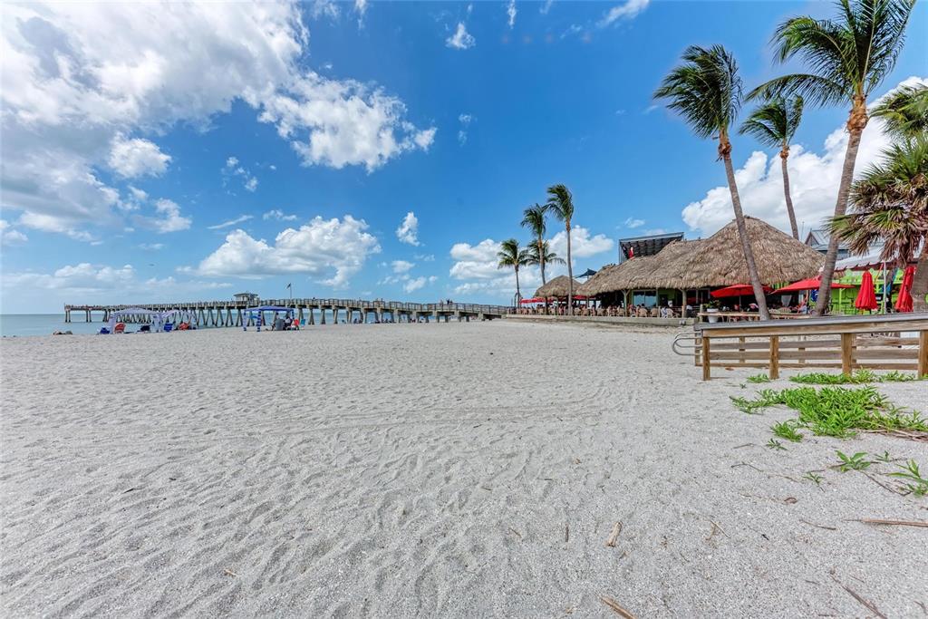 1307 Primrose Road Venice, FL 34293 - Photo 77 of 87