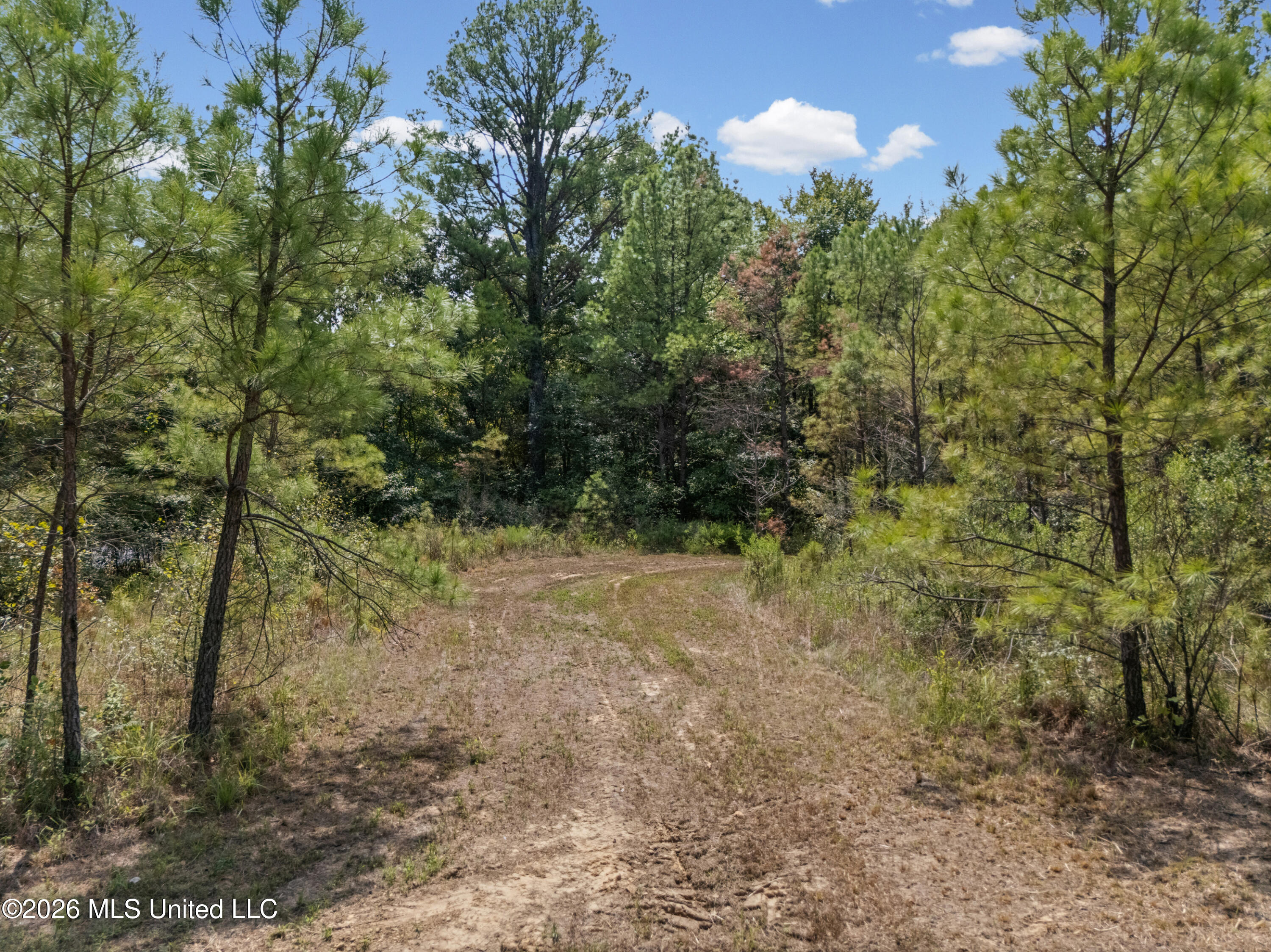 Brownlee Road Sarah, MS 38665 - Photo 19 of 20 21_dji_20260824125926_0150_d_print