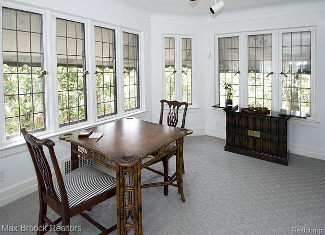 255 Linden Road Birmingham, MI 48009 - Photo 12 of 21 Recreation Room