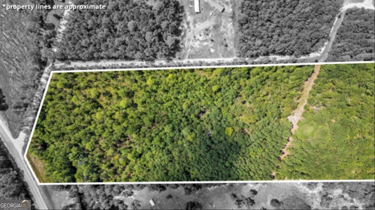 15.5-ac Elim Church Road Ludowici, GA 31316 - Photo 12 of 17 a view of outdoor space and garden