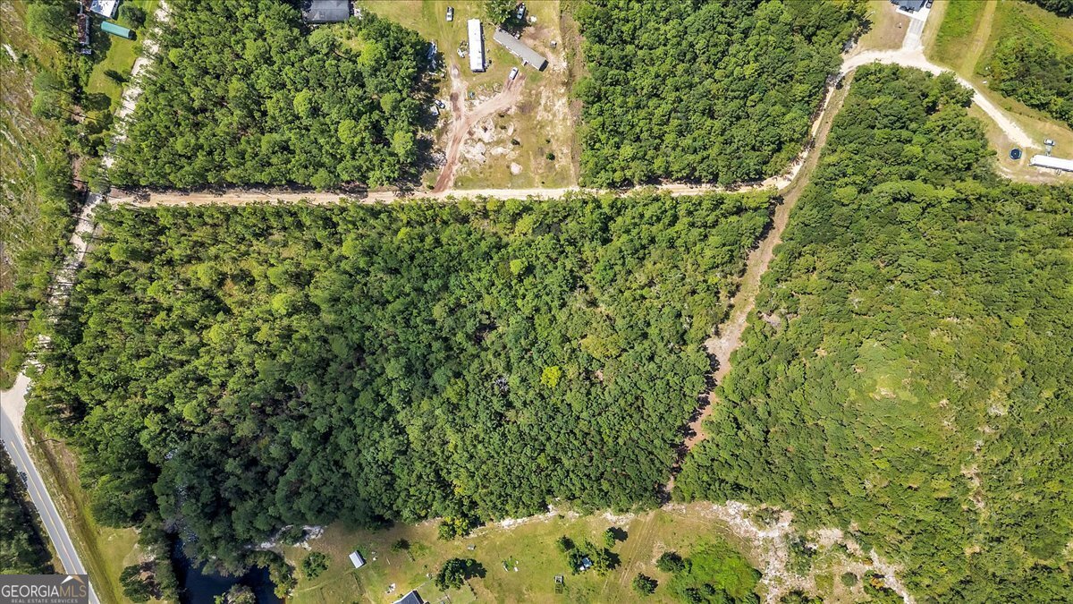 15.5-ac Elim Church Road Ludowici, GA 31316 - Photo 13 of 17