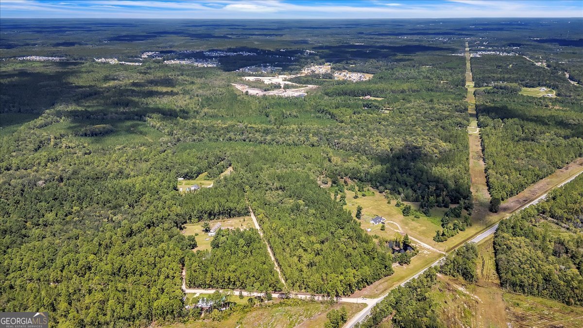 15.5-ac Elim Church Road Ludowici, GA 31316 - Photo 15 of 17 a view of a lake from a yard
