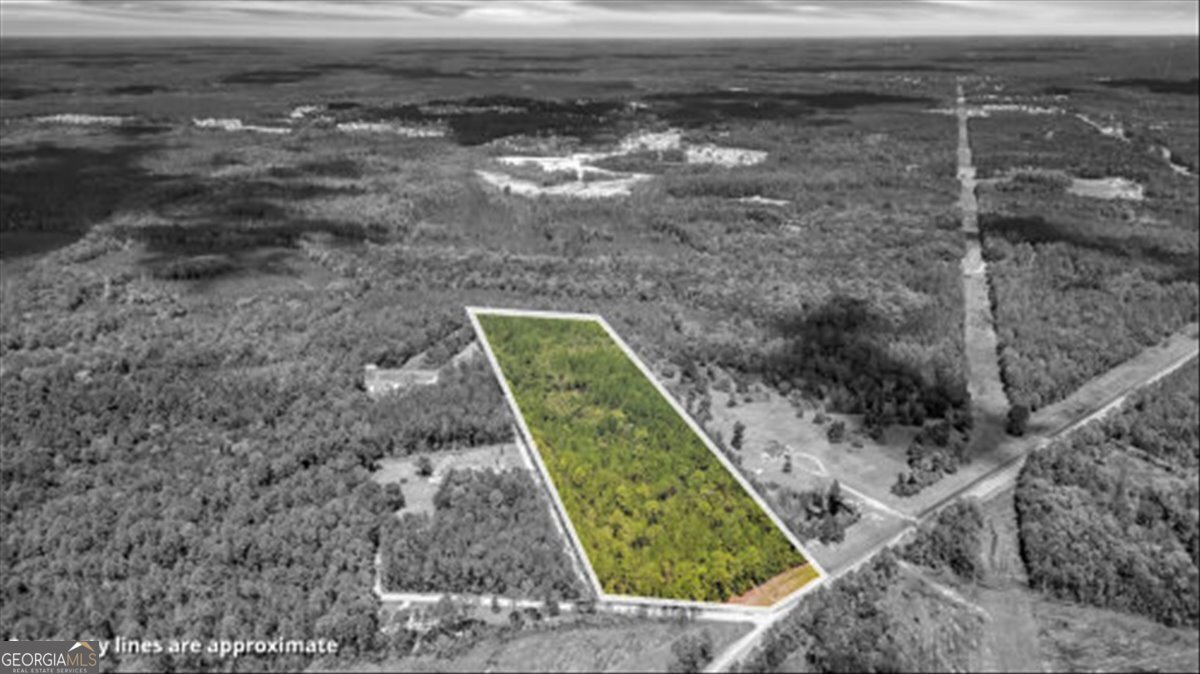 15.5-ac Elim Church Road Ludowici, GA 31316 - Photo 16 of 17 a view of a yard