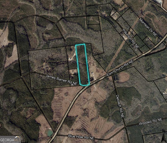 15.5-ac Elim Church Road Ludowici, GA 31316 - Photo 17 of 17 a backyard of a house