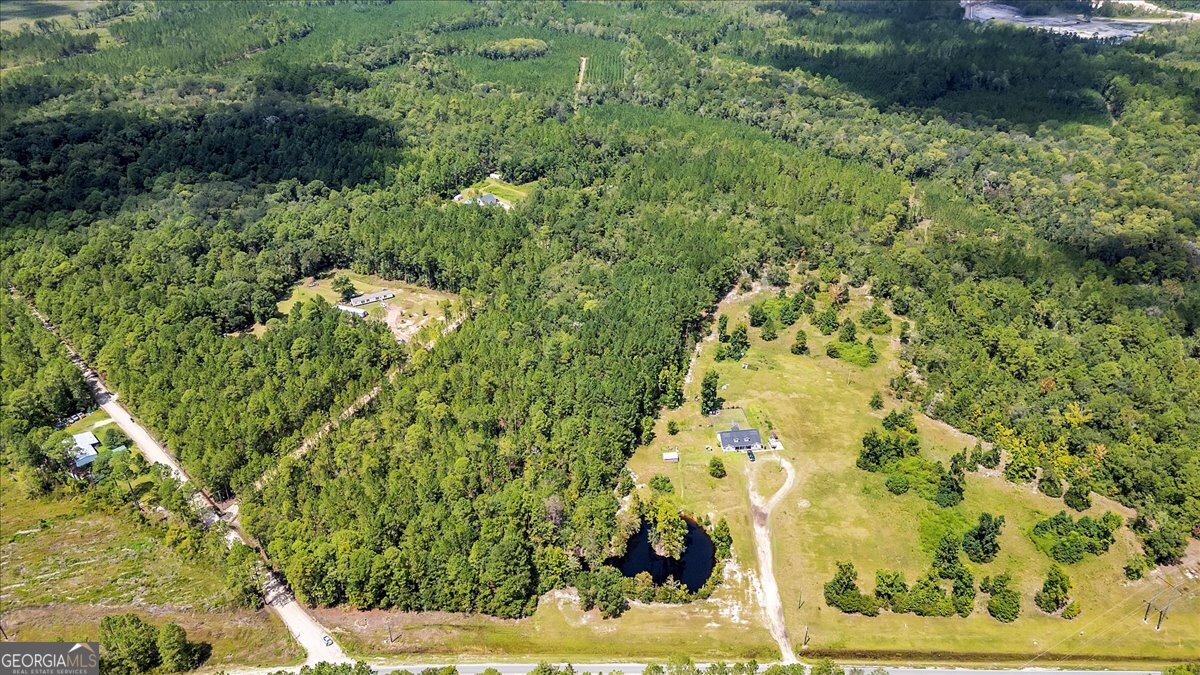 15.5-ac Elim Church Road Ludowici, GA 31316 - Photo 2 of 17 a view of a yard with plants