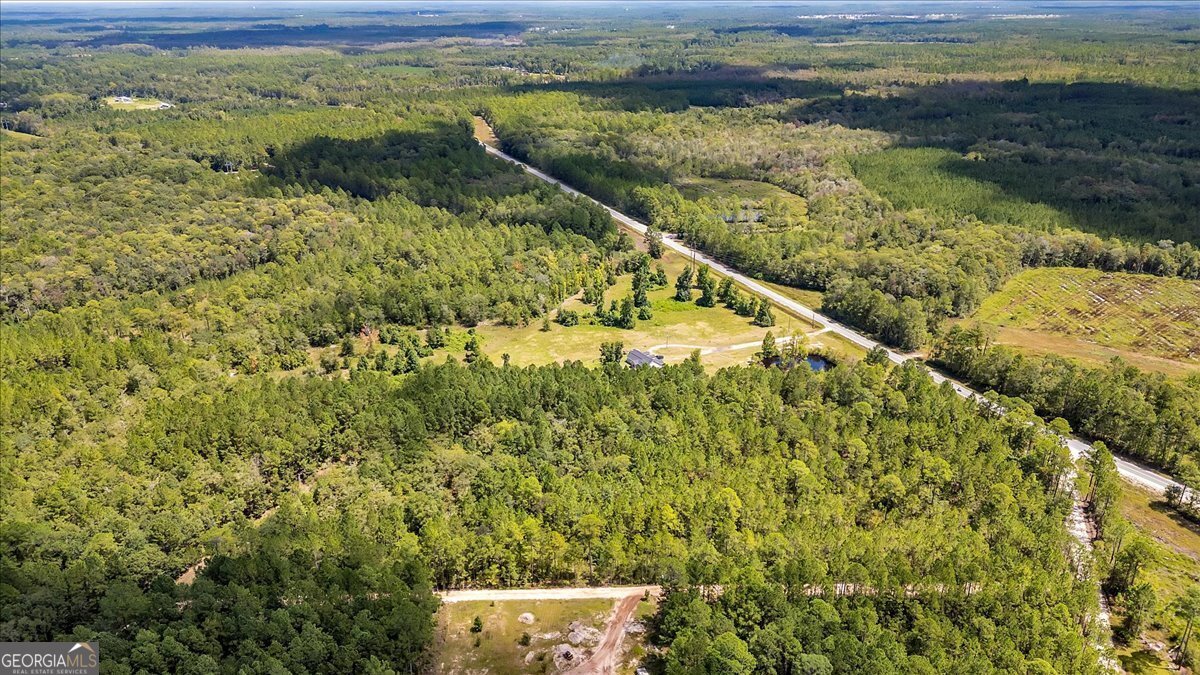 15.5-ac Elim Church Road Ludowici, GA 31316 - Photo 3 of 17 a view of a lake with a mountain