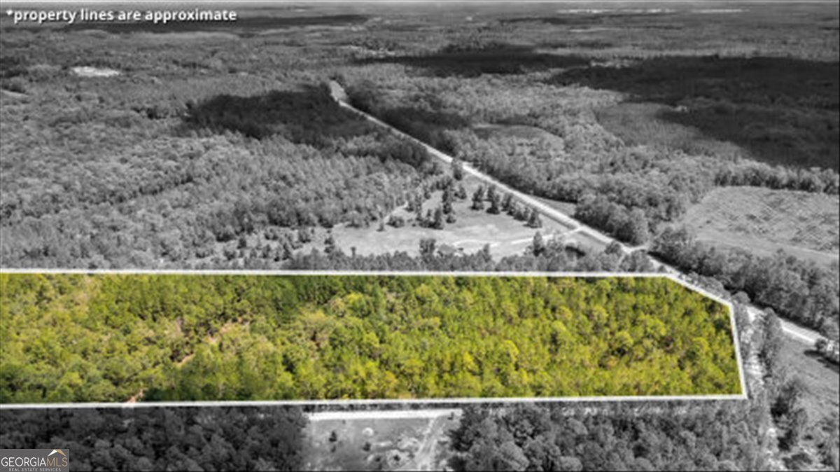 15.5-ac Elim Church Road Ludowici, GA 31316 - Photo 4 of 17 a view of a yard with wooden fence