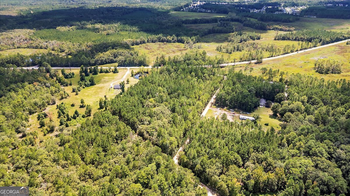 15.5-ac Elim Church Road Ludowici, GA 31316 - Photo 5 of 17 a view of a lake with a building
