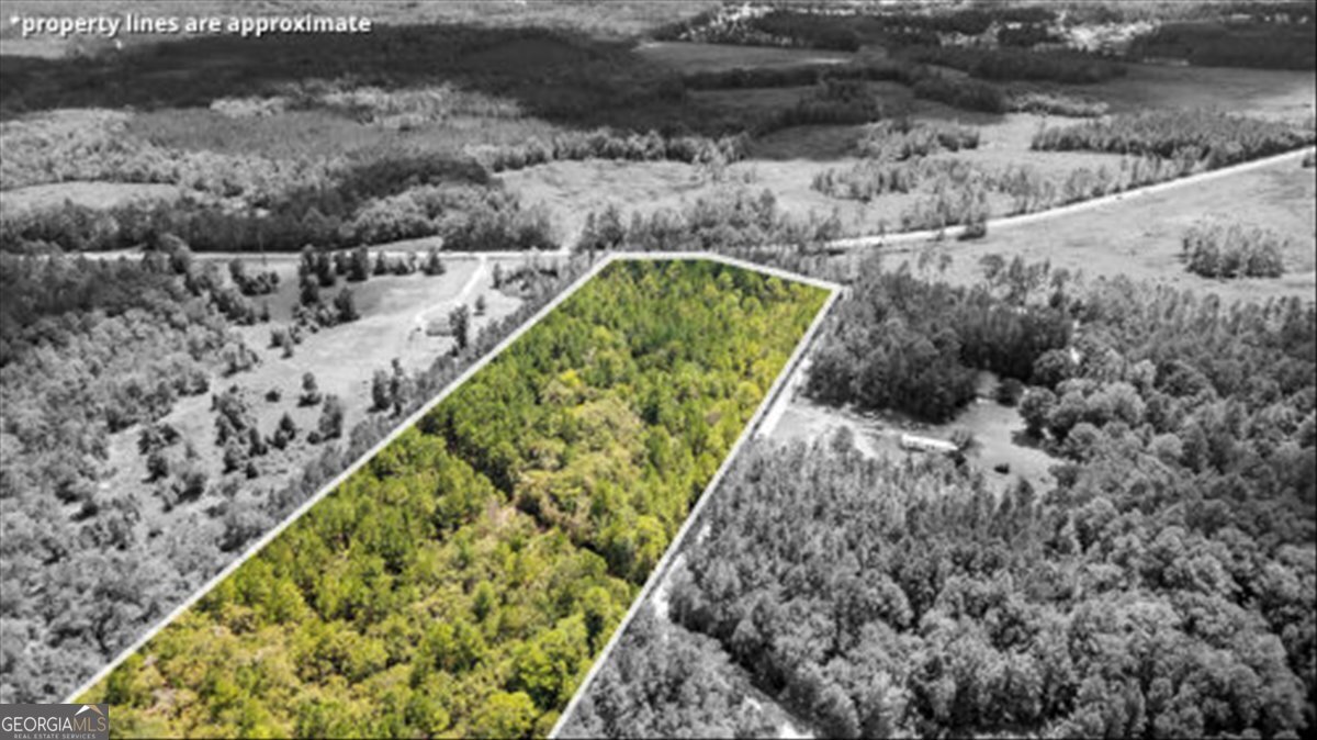 15.5-ac Elim Church Road Ludowici, GA 31316 - Photo 6 of 17 a view of a garden with a pathway