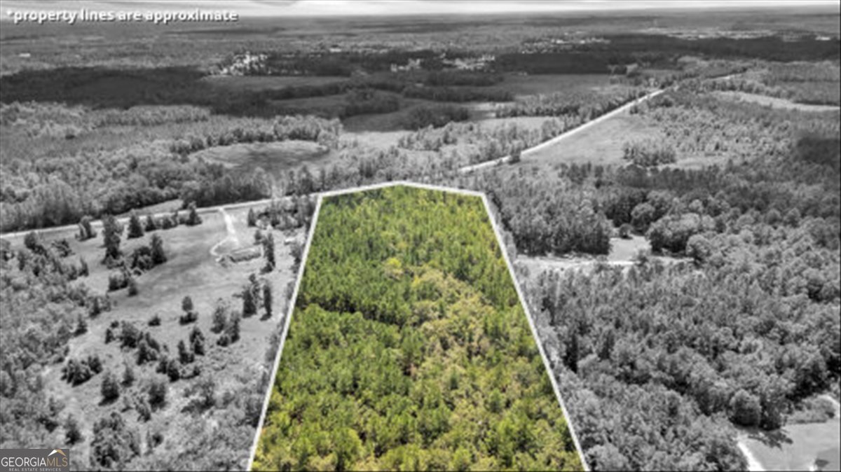 15.5-ac Elim Church Road Ludowici, GA 31316 - Photo 8 of 17 a view of a garden with a building