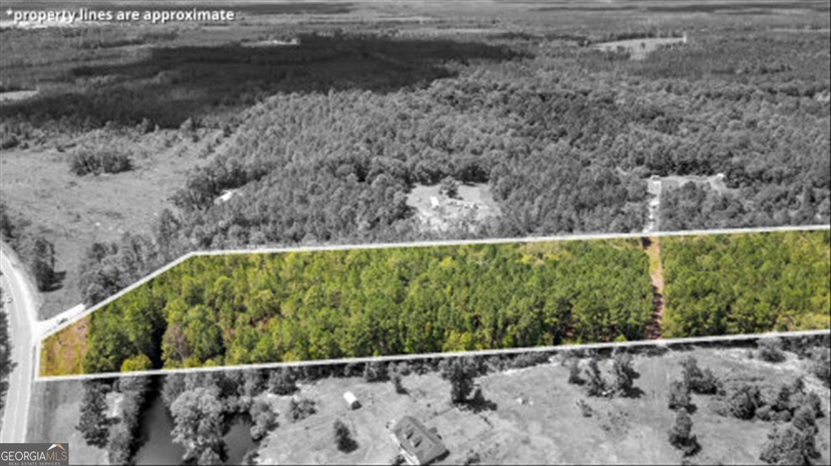 15.5-ac Elim Church Road Ludowici, GA 31316 - Photo 10 of 17 a view of outdoor space and garden