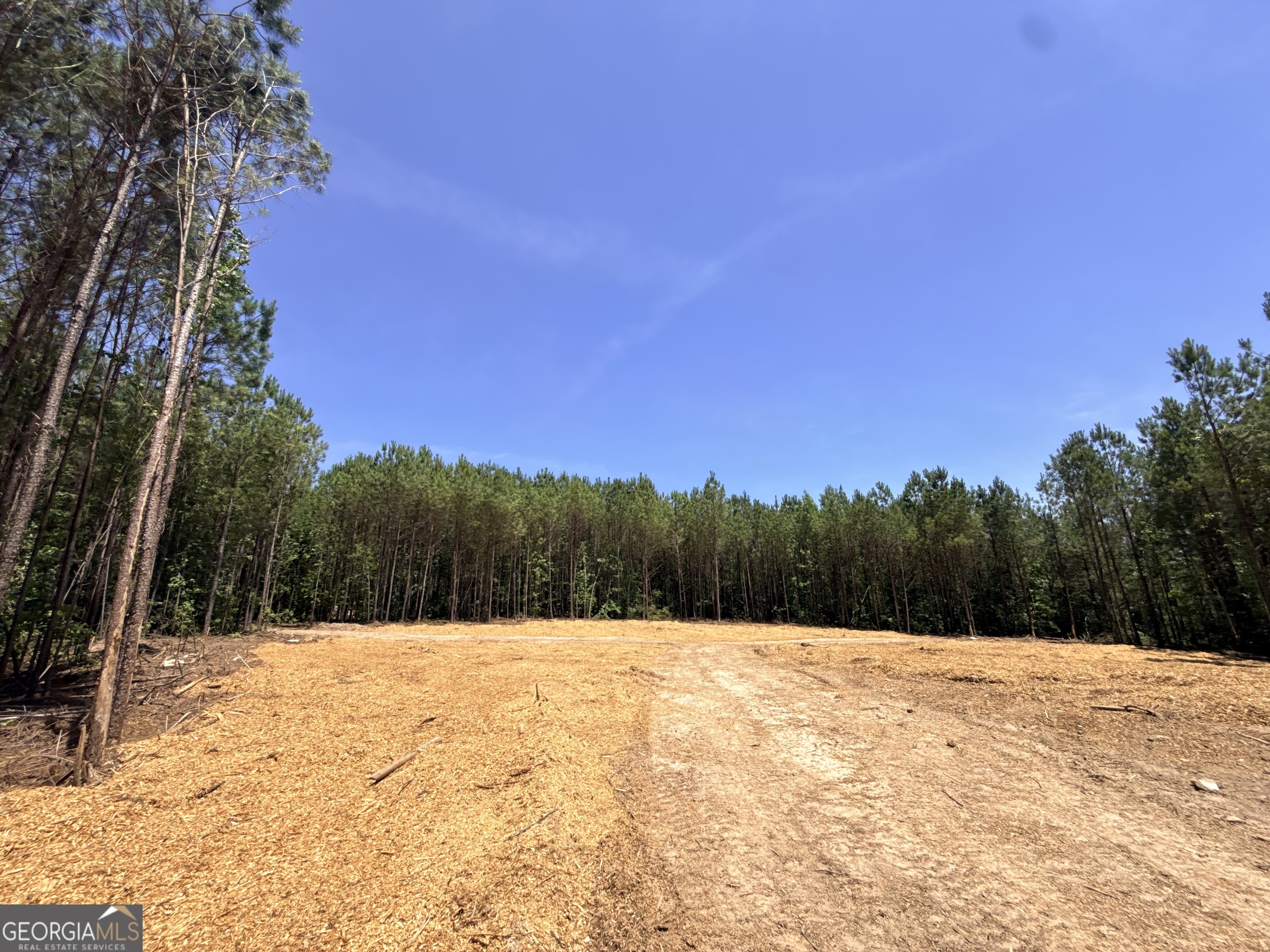 2787 Cedar Creek Road Elberton, GA 30635 - Photo 33 of 88