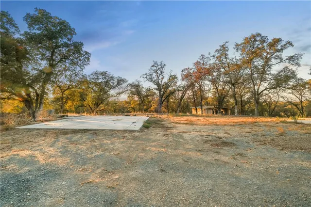 a view of yard with trees