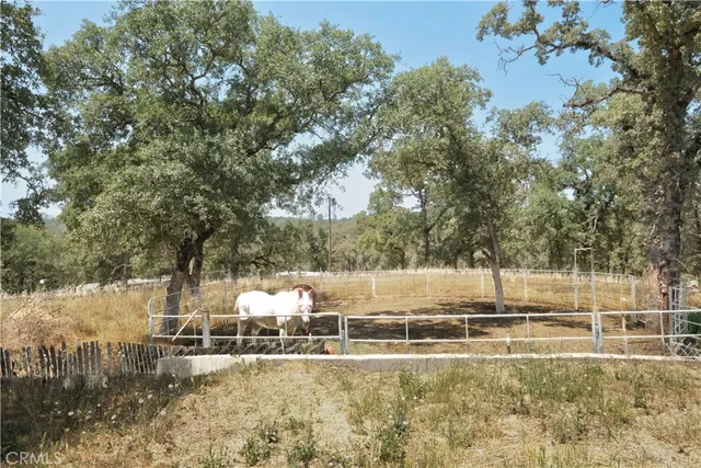 a backyard of a house with lots of green space