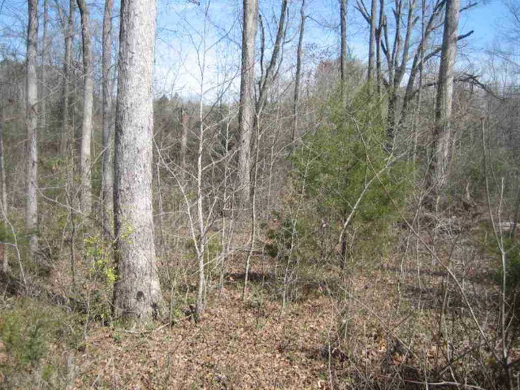 Lot 1 Brookside Circle Honea Path, SC 29654 - Photo 1 of 4 Gallery Image 1