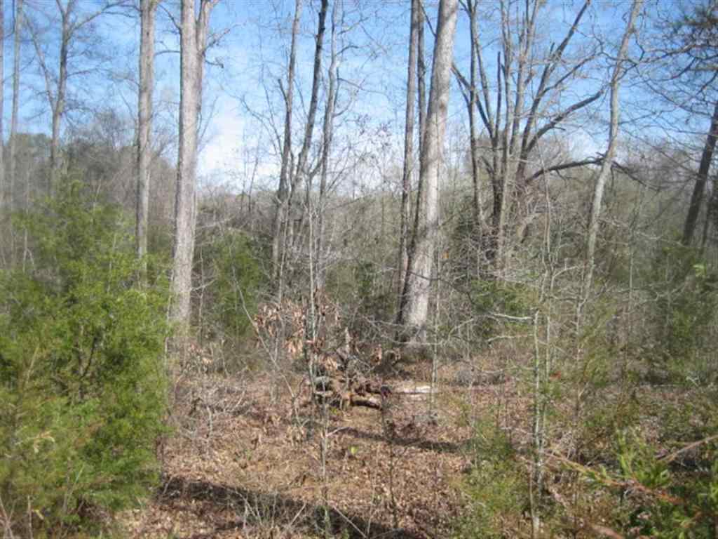 Lot 1 Brookside Circle Honea Path, SC 29654 - Photo 2 of 4 Gallery Image 2