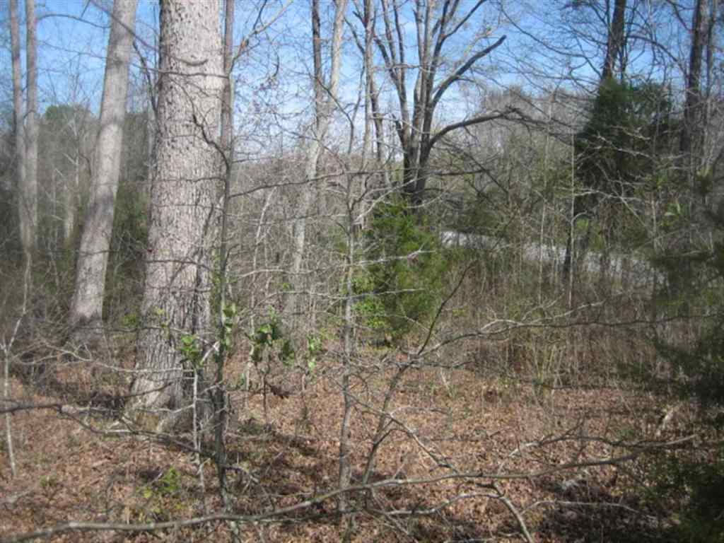 Lot 1 Brookside Circle Honea Path, SC 29654 - Photo 3 of 4 Gallery Image 3