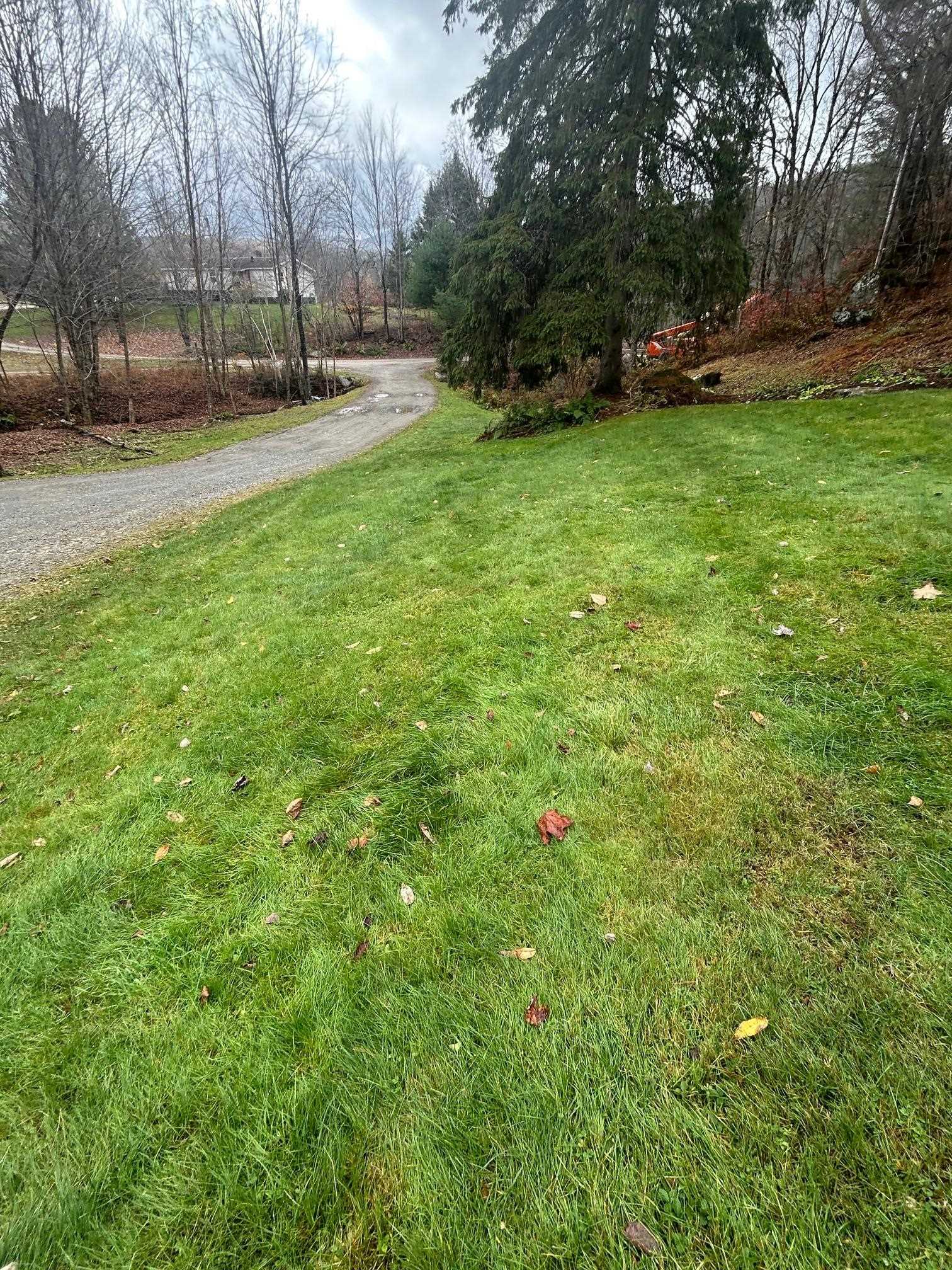 33 Williams Lane Wolcott, VT 05680 - Photo 41 of 57
