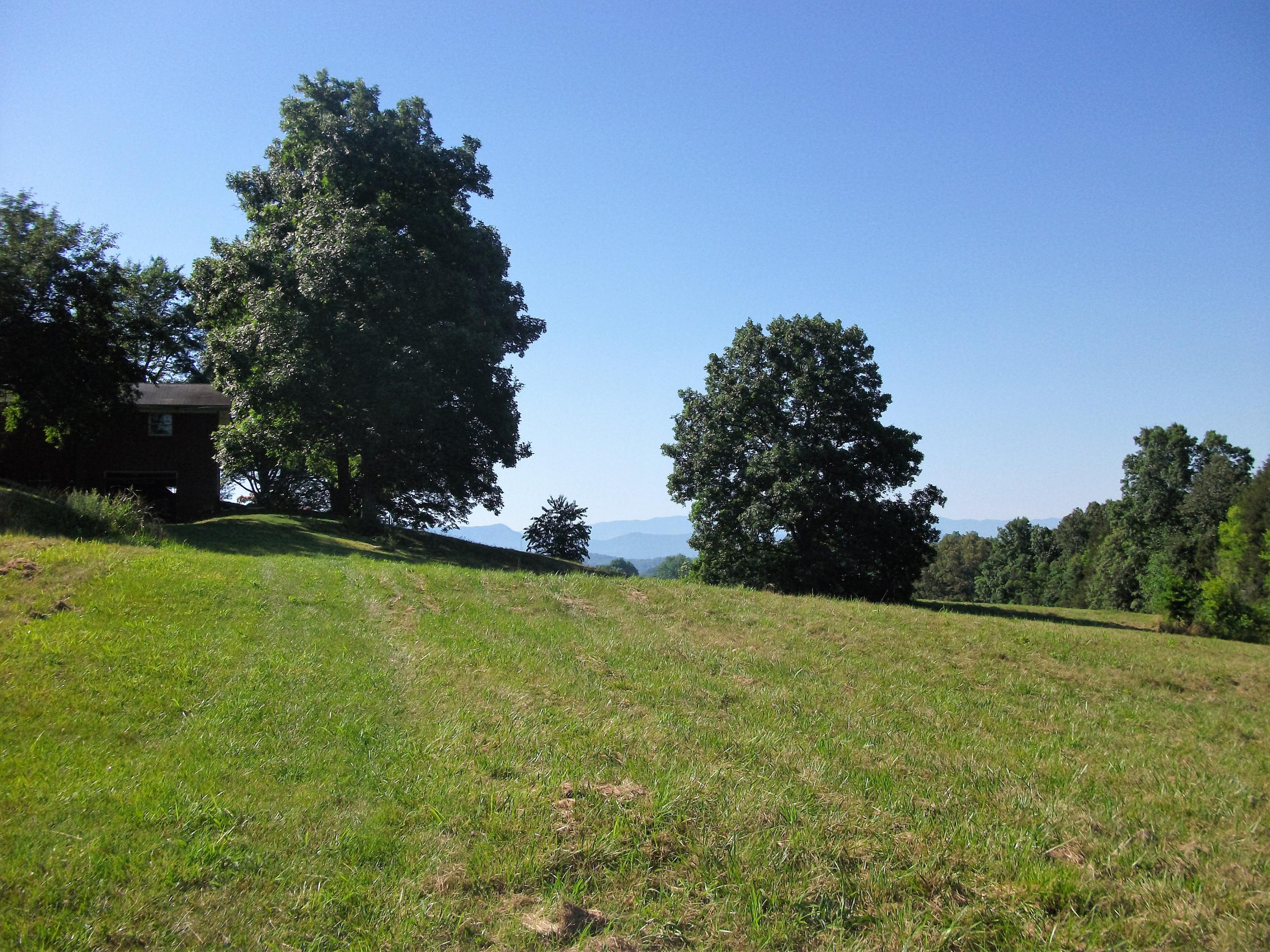1134 Newman Riley Road Dandridge, TN 37725 - Photo 29 of 33 Rear Field