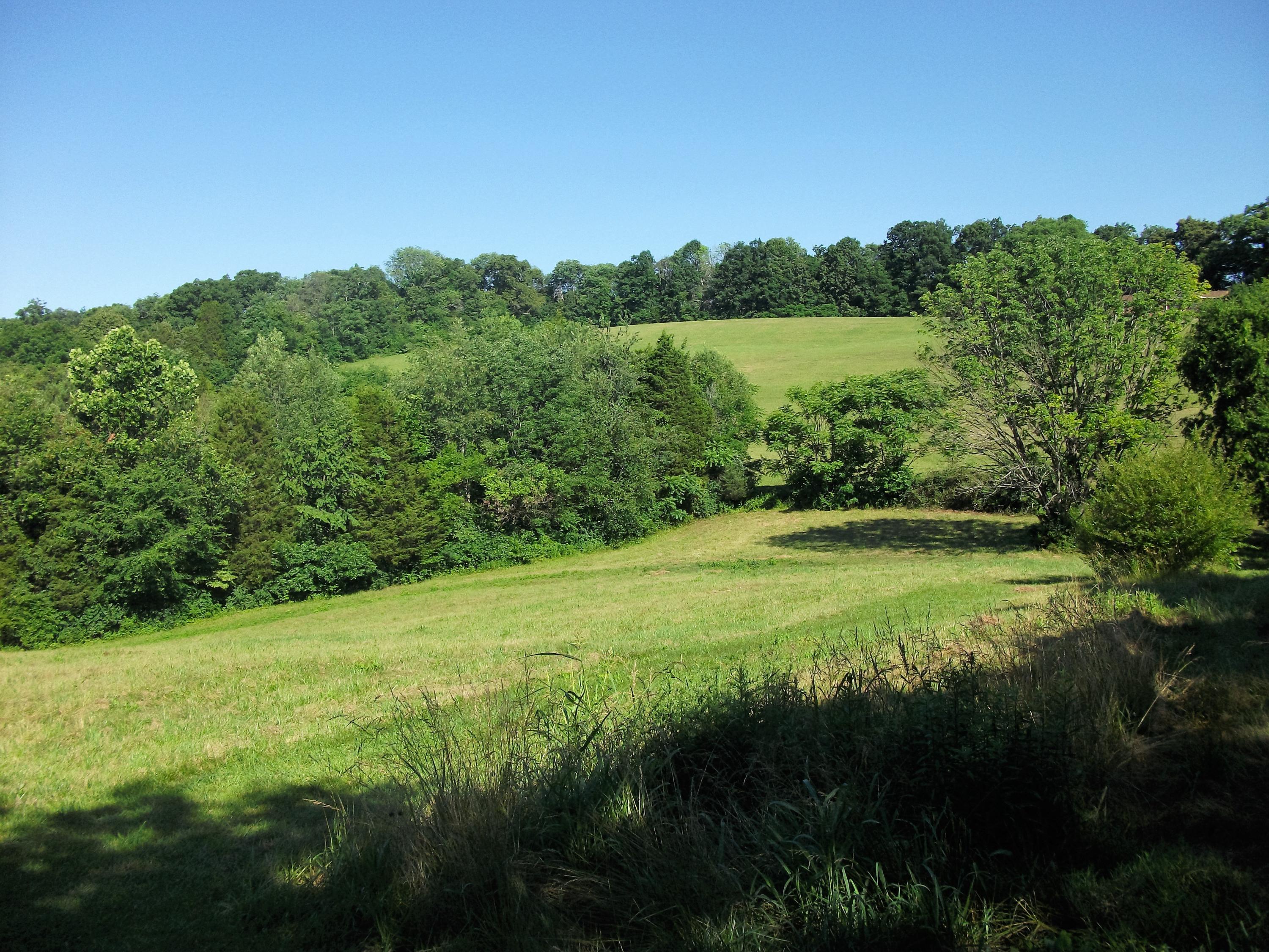 Rear Field