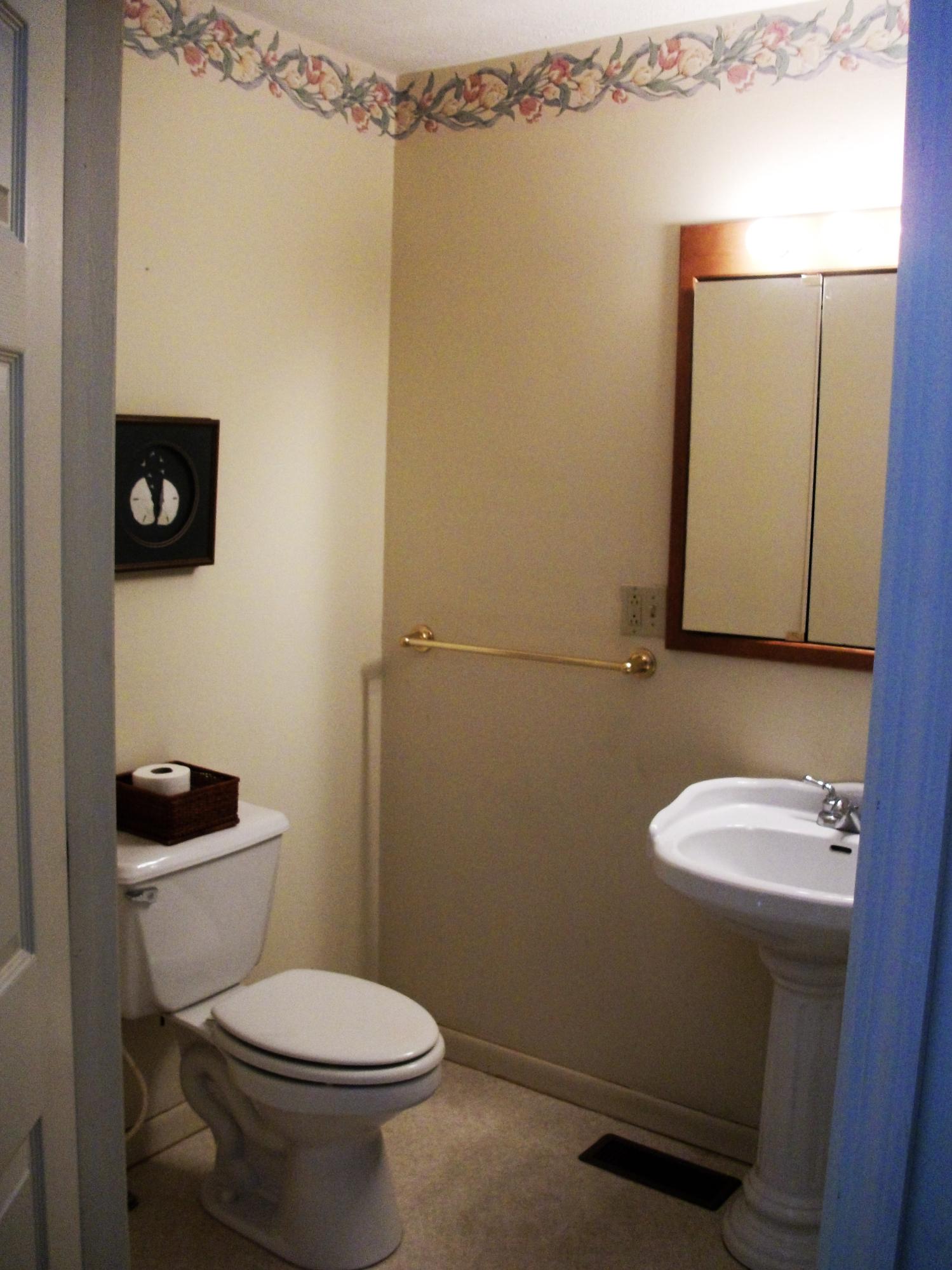 1134 Newman Riley Road Dandridge, TN 37725 - Photo 9 of 33 Bathroom #2