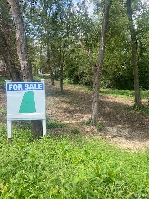 649 South Sappington Road Oakland, MO 63122 - Photo 2 of 3