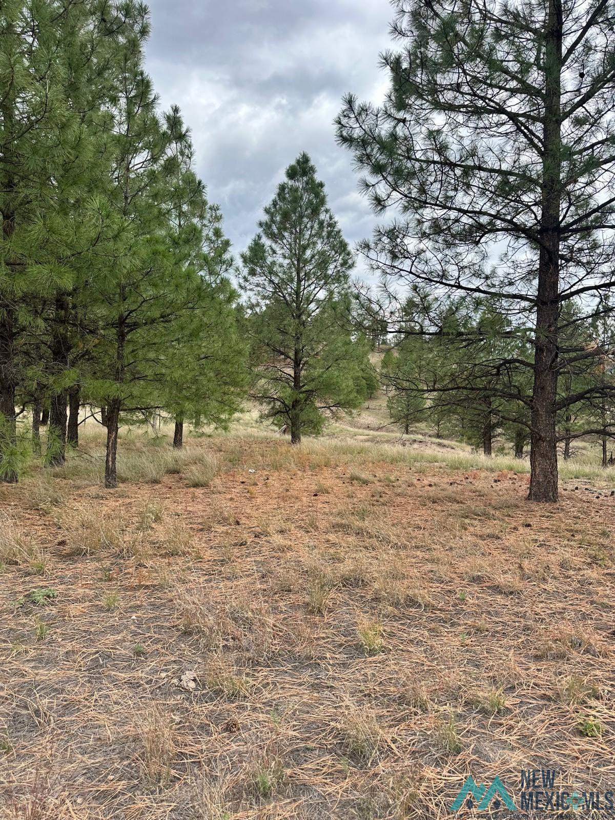 Xx Hooser Road Luna, NM 87824 - Photo 10 of 12