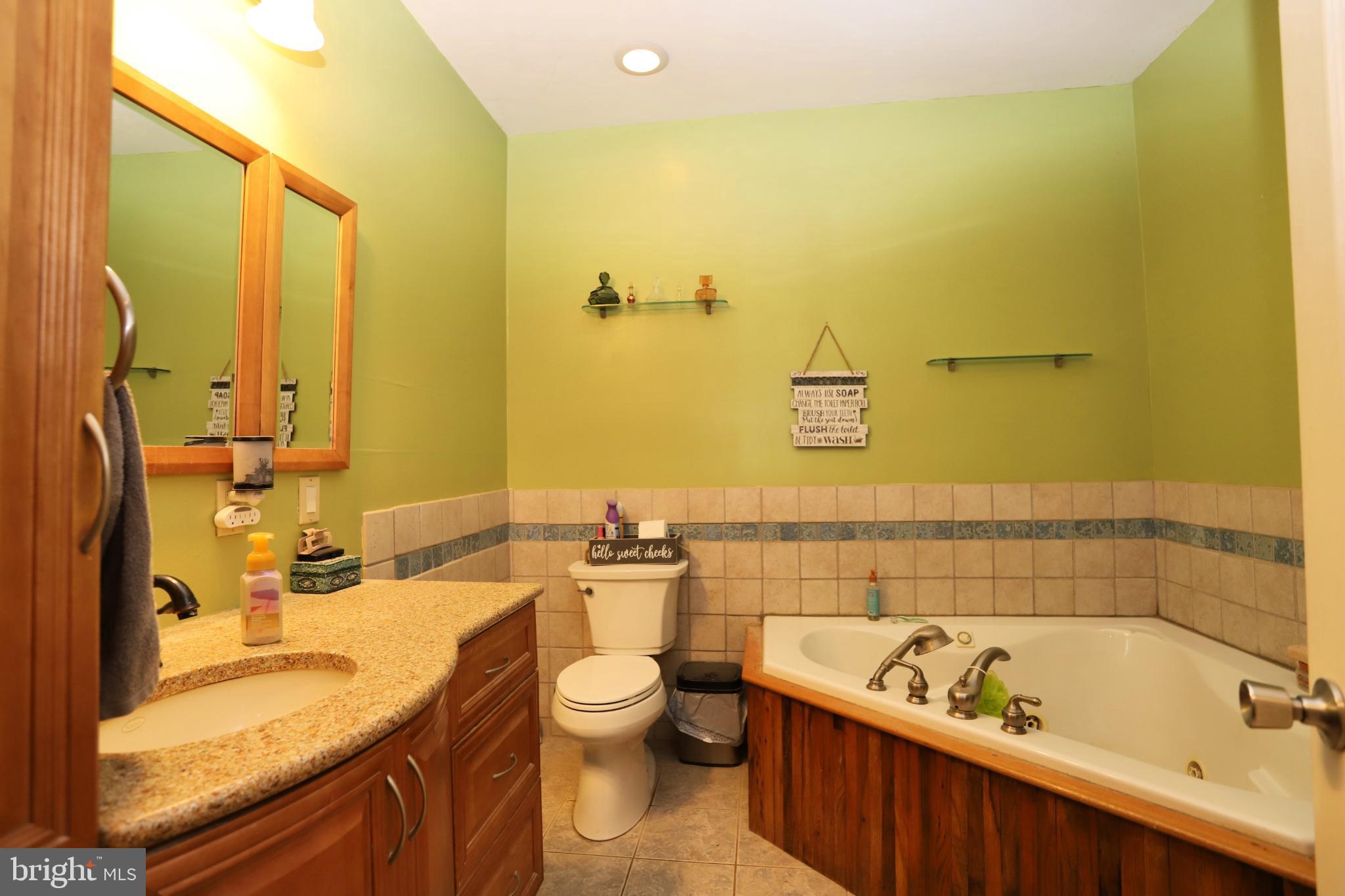 23202 Village Road Unionville, VA 22567 - Photo 10 of 28 a bathroom with a granite countertop sink and a bathtub