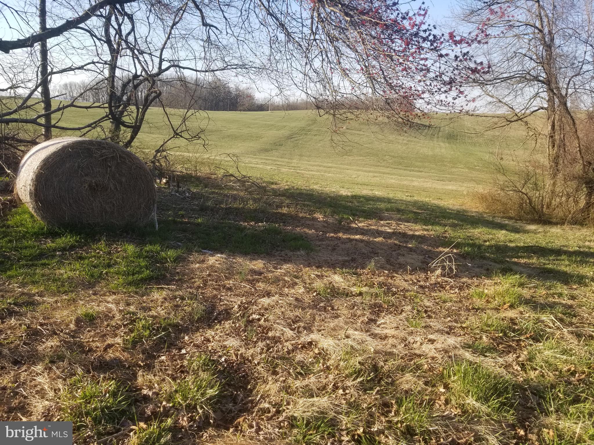 326 Fox Road Havre de Grace, MD 21078 - Photo 47 of 48 Fields and trees at the end of the street