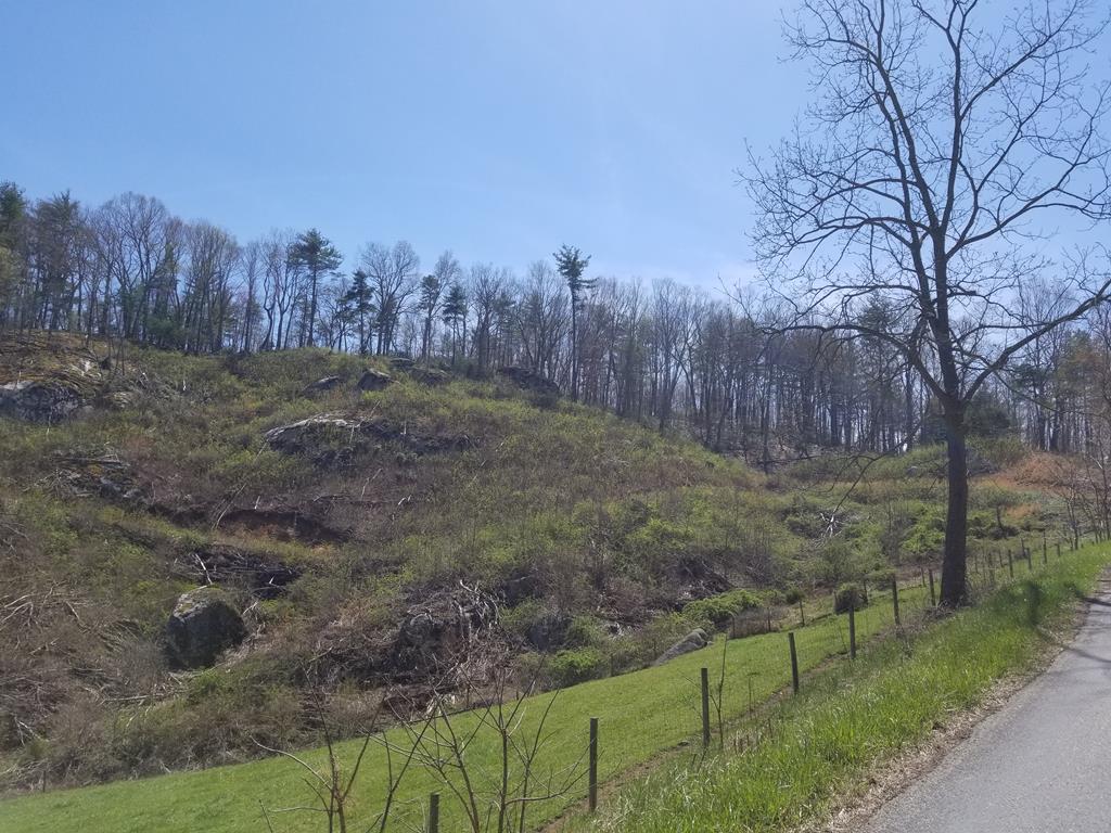 Tbd Peach Bottom Road, Unit 53A58B1 Independence, VA 24348 - Photo 1 of 14 Gallery Image 1