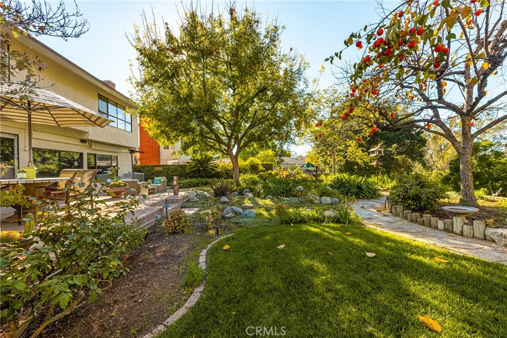 2927 Treeview Place Fullerton, CA 92835 - Photo 41 of 62 a view of yard with green space