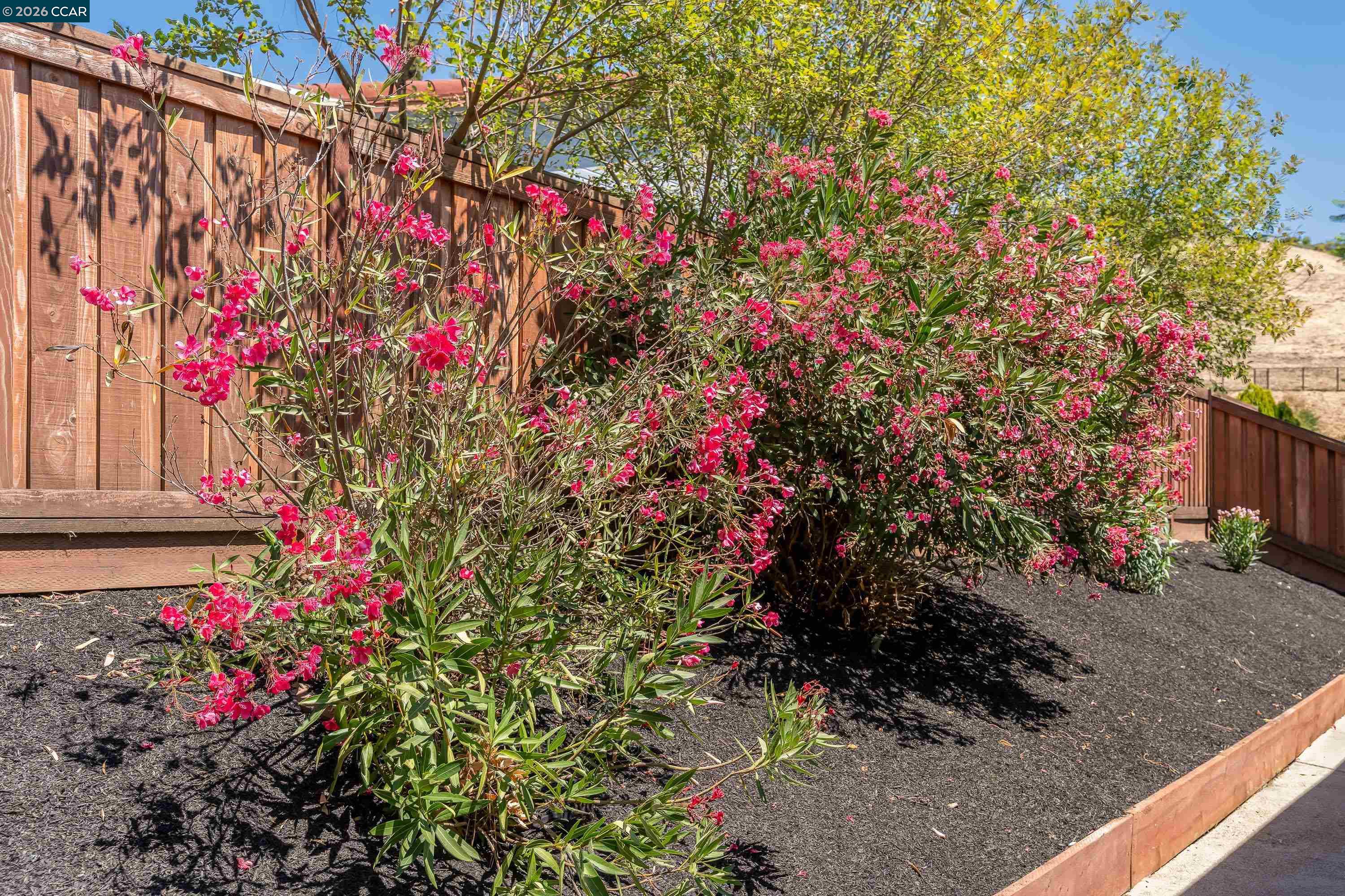 121 Violet Road Hercules, CA 94547 - Photo 65 of 70 Gallery Image 65