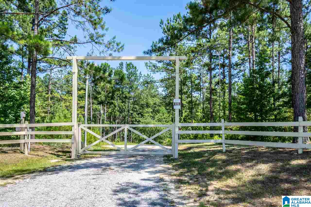 827 Colleton Forest Way, Unit 20 ACRES Vincent, AL 35178 - Photo 3 of 31