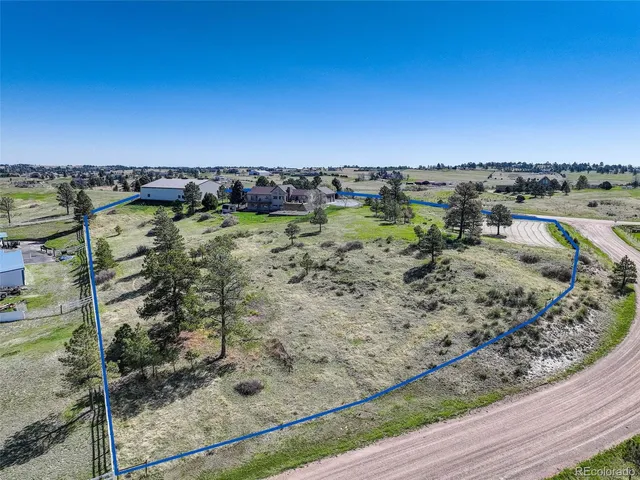a view of a tree with a flower