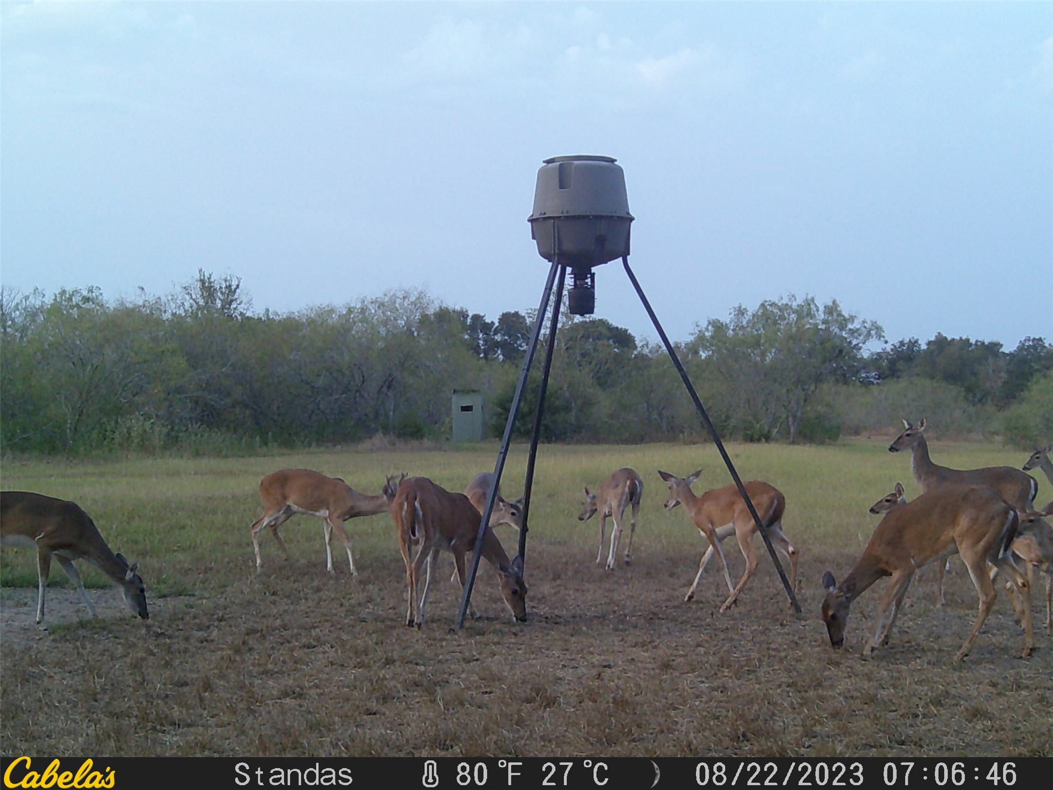 6289 Maynard Hallmark Road Flatonia, TX 78941 - Photo 12 of 19