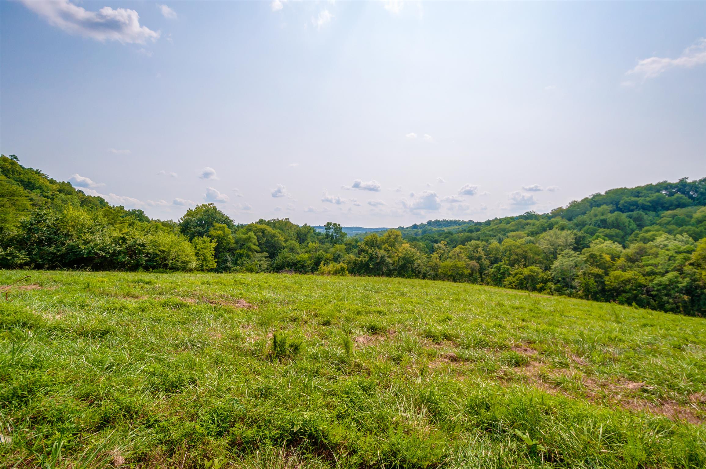 0 Pigg Schoolhouse Road Santa Fe, TN 38482 - Photo 12 of 30 Gallery Image 12