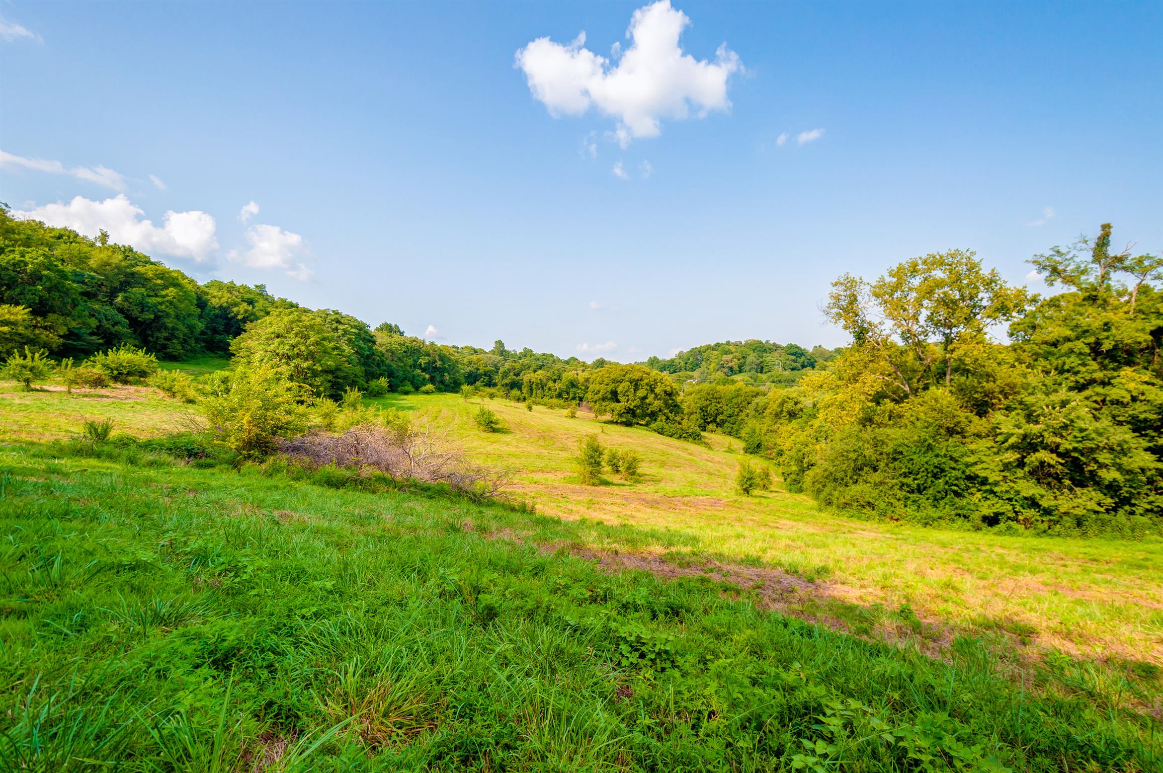 0 Pigg Schoolhouse Road Santa Fe, TN 38482 - Photo 17 of 30 Gallery Image 17