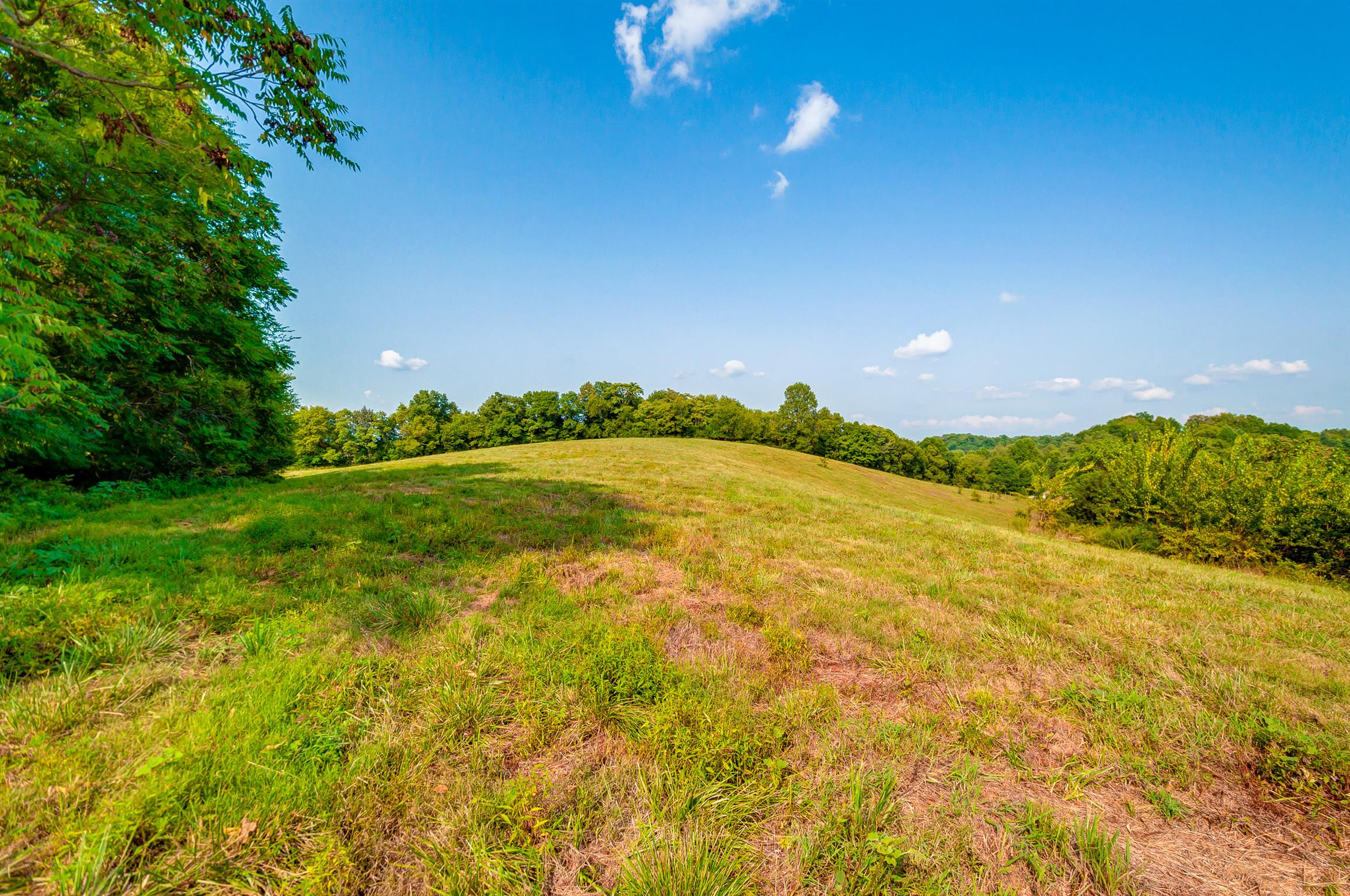 0 Pigg Schoolhouse Road Santa Fe, TN 38482 - Photo 18 of 30 Gallery Image 18