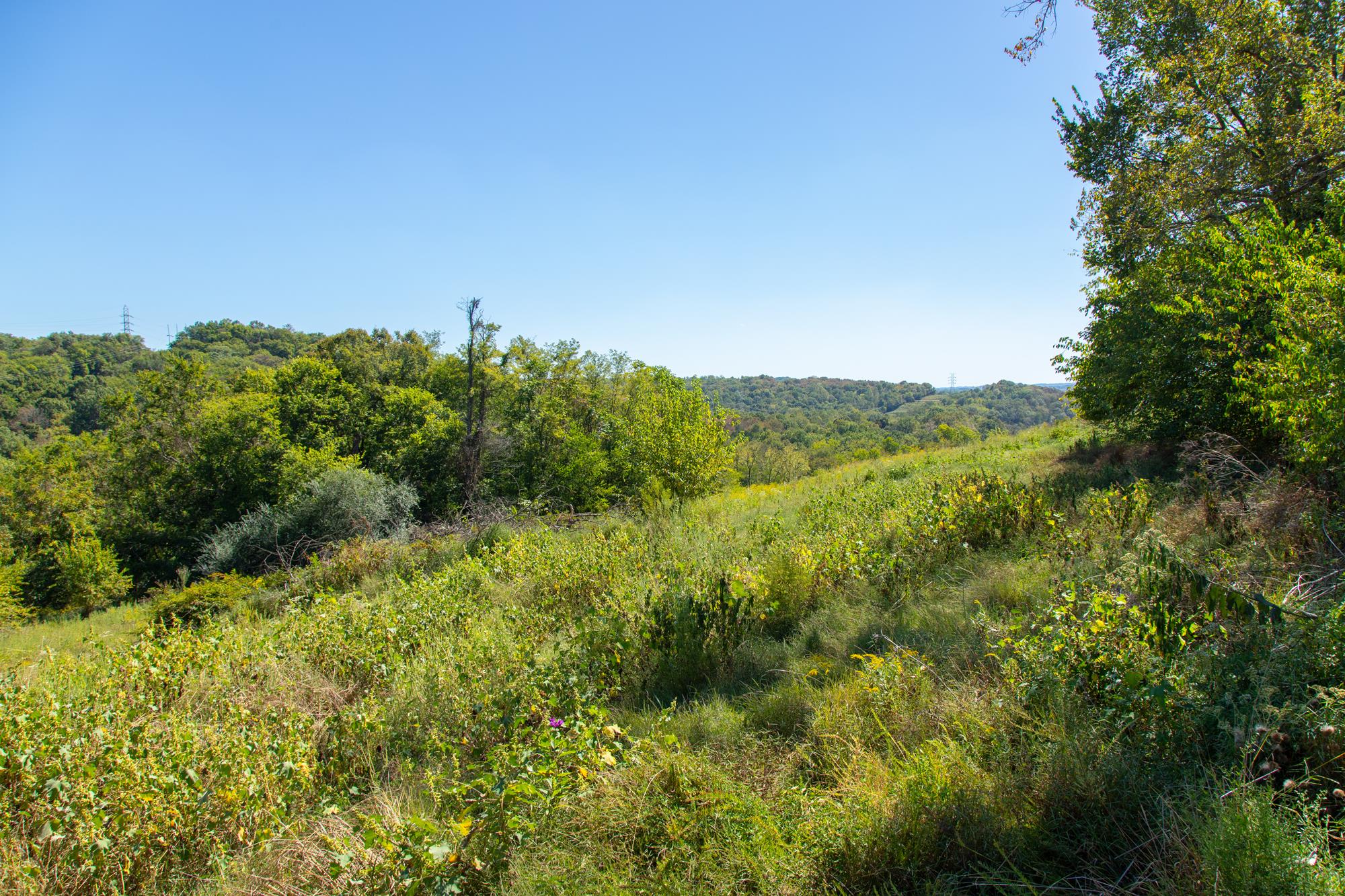 0 Pigg Schoolhouse Road Santa Fe, TN 38482 - Photo 28 of 30 Gallery Image 28
