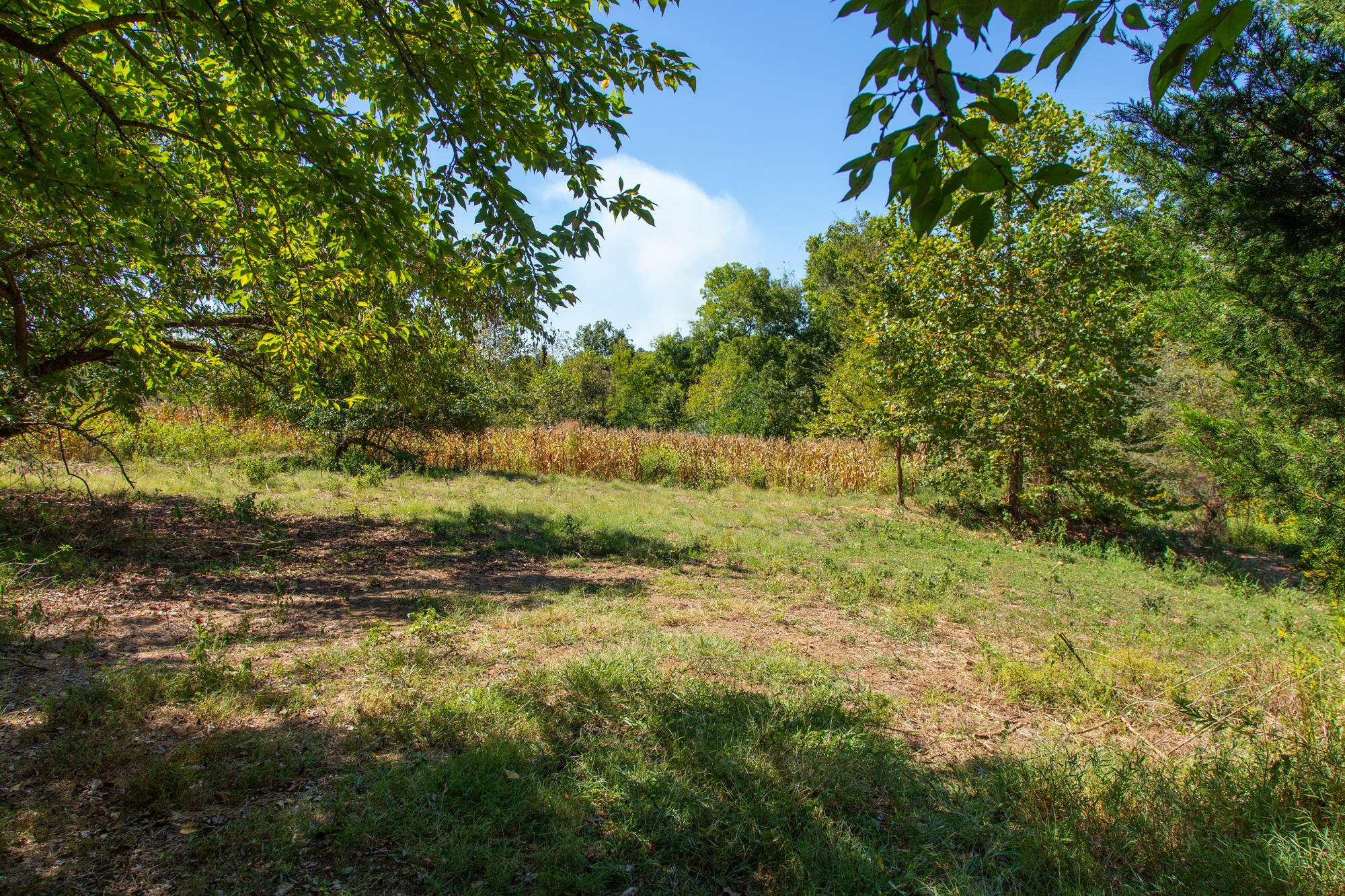 0 Pigg Schoolhouse Road Santa Fe, TN 38482 - Photo 29 of 30 Gallery Image 29