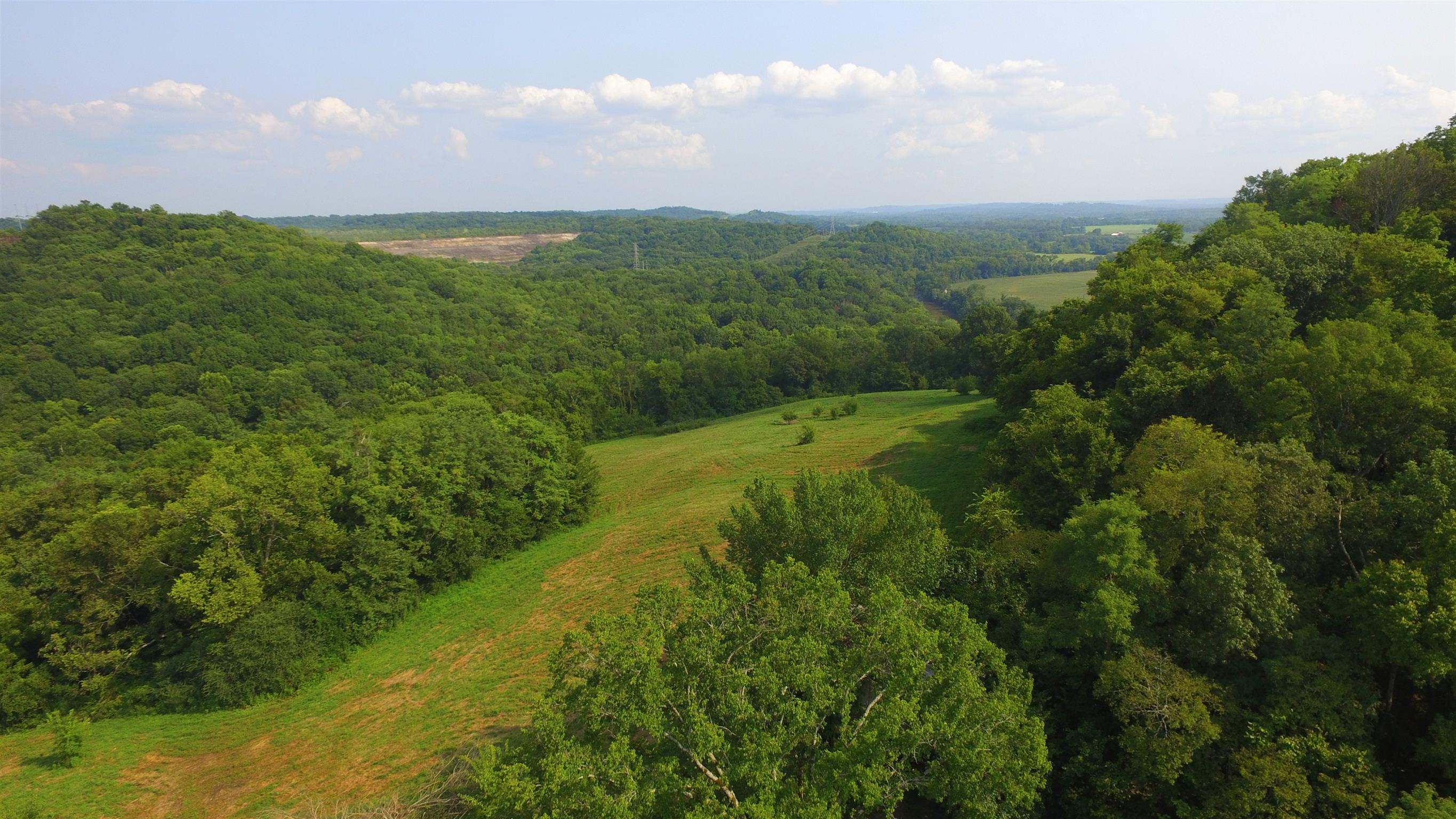 0 Pigg Schoolhouse Road Santa Fe, TN 38482 - Photo 3 of 30 Gallery Image 3