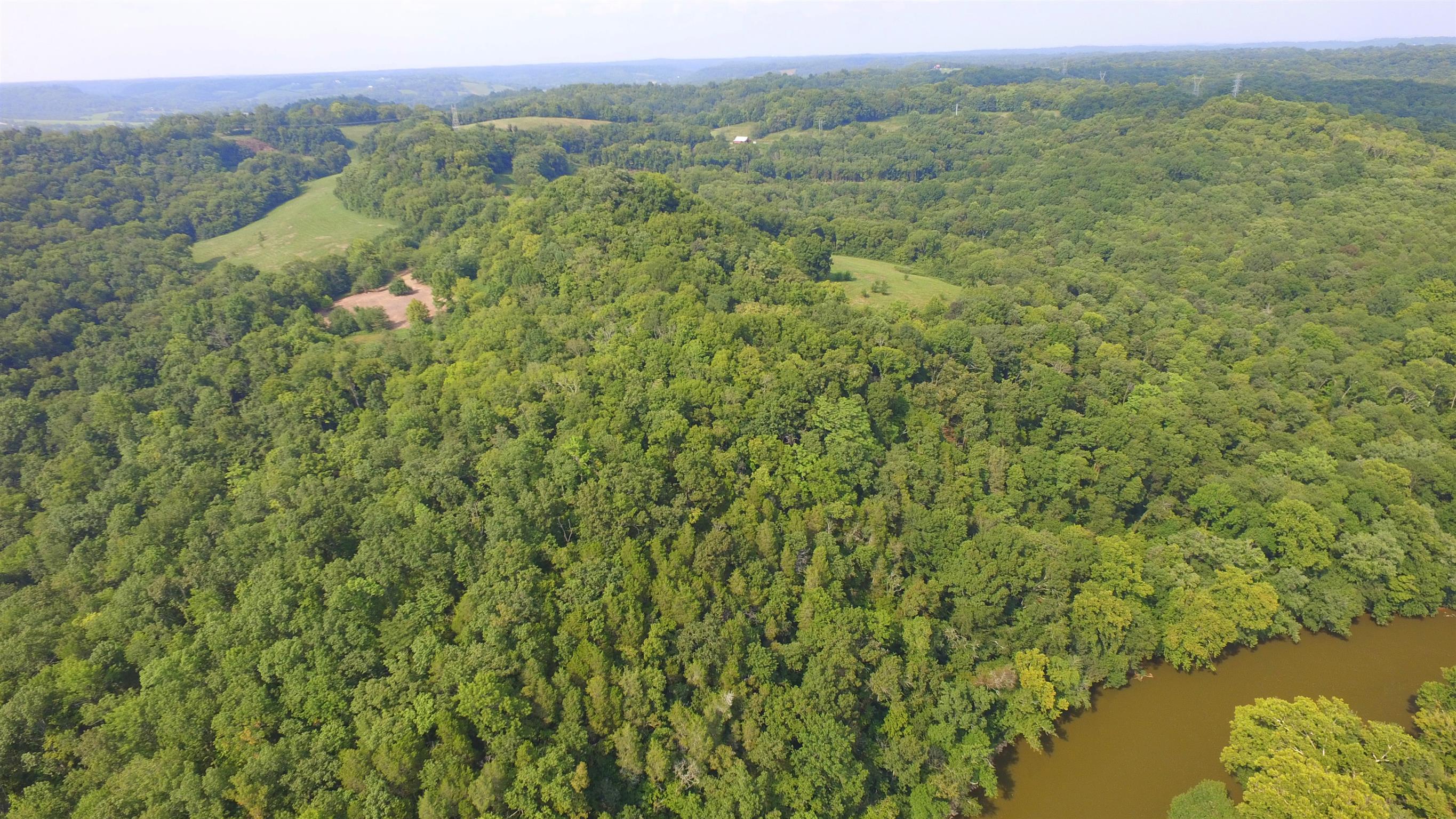 0 Pigg Schoolhouse Road Santa Fe, TN 38482 - Photo 5 of 30 Gallery Image 5