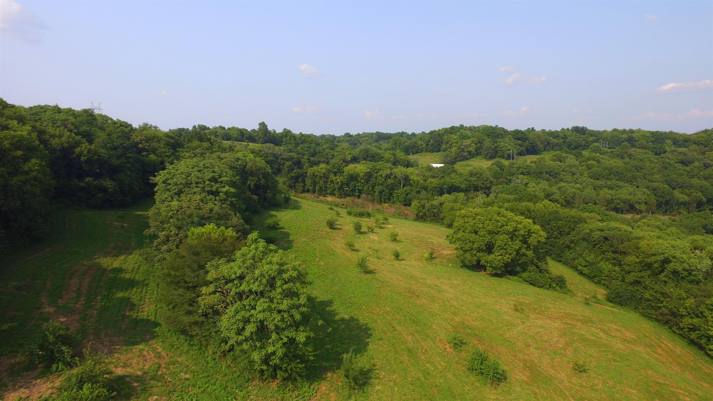 0 Pigg Schoolhouse Road Santa Fe, TN 38482 - Photo 10 of 30 Gallery Image 10