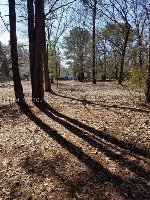 Tbd Wellington Drive Ridgeland, SC 29936 - Photo 1 of 1 Gallery Image 1