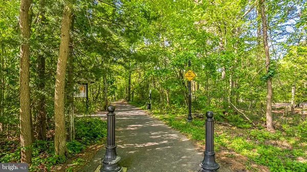 a view of a forest
