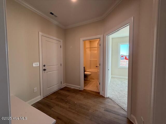 810 Tupelo Tree Drive Hubert, NC 28539 - Photo 15 of 25 IMG_9983