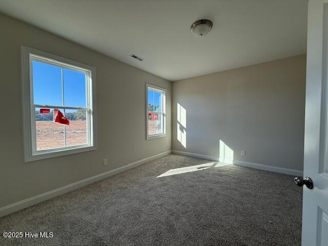 810 Tupelo Tree Drive Hubert, NC 28539 - Photo 17 of 25 IMG_9985