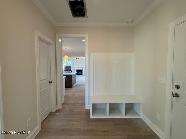 810 Tupelo Tree Drive Hubert, NC 28539 - Photo 18 of 25 IMG_9986